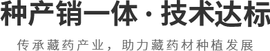 技術(shù)領(lǐng)先